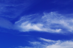 雲百態…秋の空