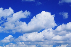 雲の多い一日