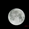 ハロウィンの満月