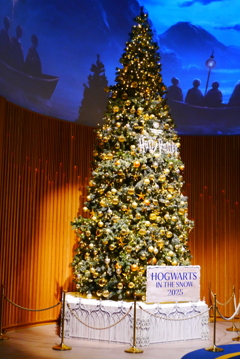 ホグワーツ・イン・ザ・スノー