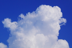 雲百態…夏雲復活！