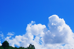 朝から真夏の日差し