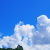 朝から真夏の日差し