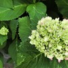 CIMG0958