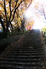 冬へと続く階段