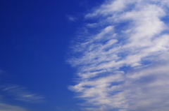 雲百態100…大晦日