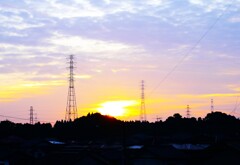 朝日を浴びて