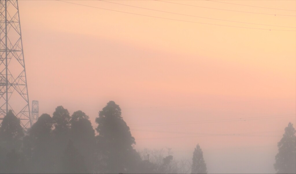 朝霧に…思いをのせて