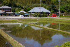 消防車　田んぼ道を走る