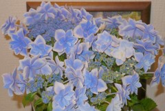 今日は母の日 (2)