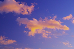 茜雲…