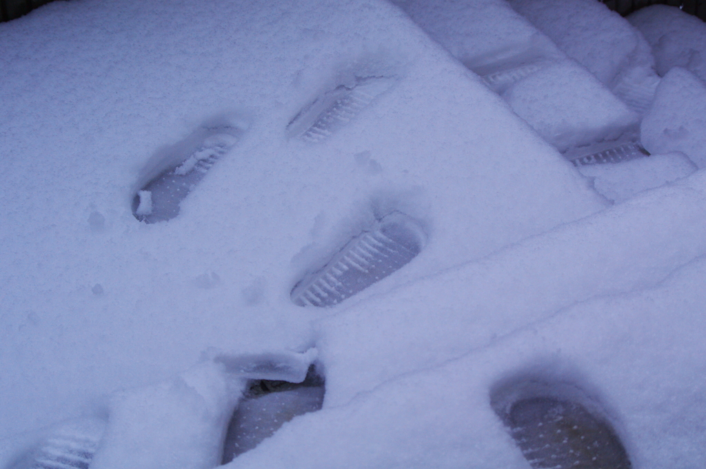 やばい！積雪