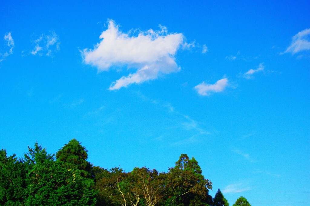 秋雲