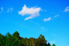 秋雲