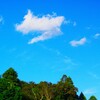 秋雲