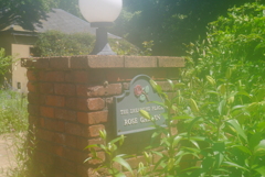 イングリッシュガーデン(フォギー？)