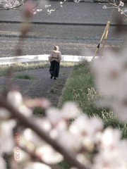 去る人