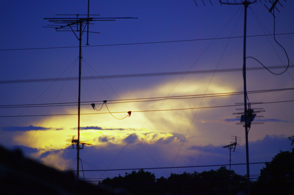 夕暮れる