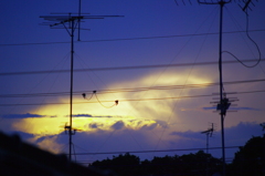 夕暮れる
