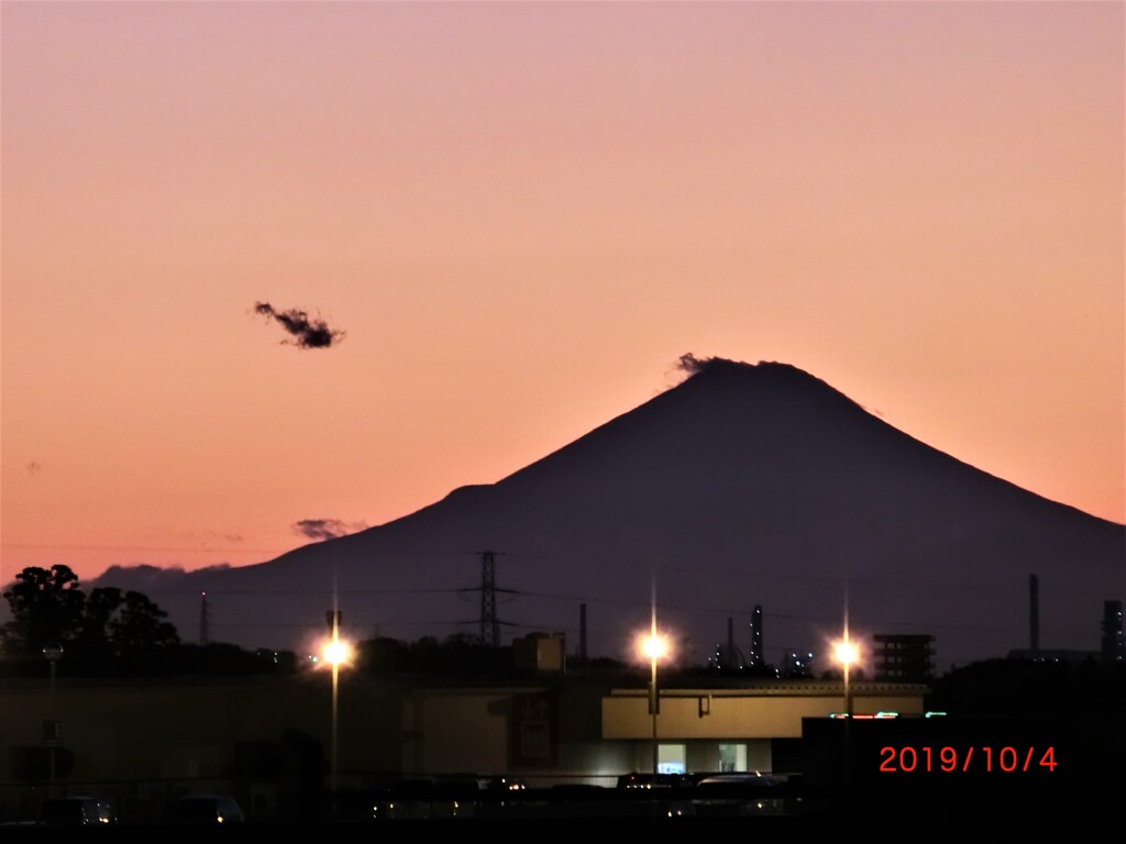 強風に映える