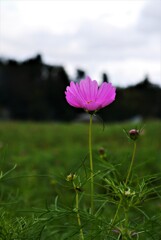 ポツンと…秋