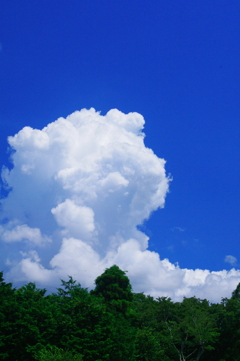昼までに「入道雲」に育つだろう