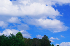 雲百態㊲…定点観測(夏日再来)