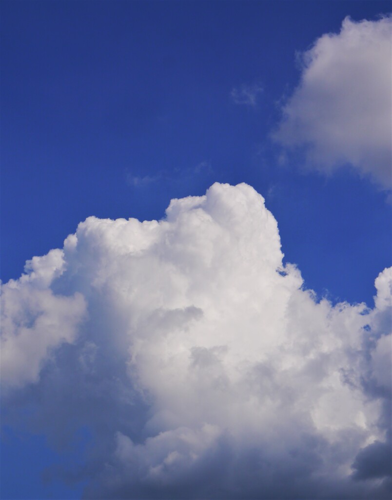 彼岸過ぎ…夏雲再び