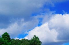 雲百態…定点観測