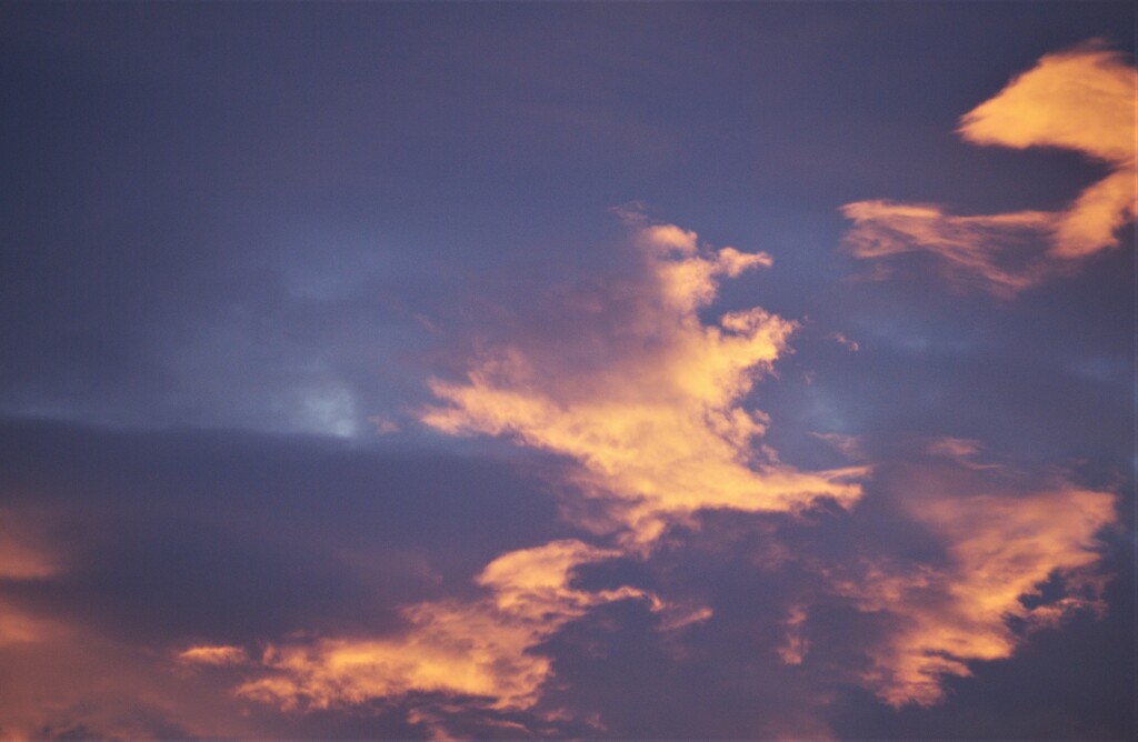 夕焼ける (1)