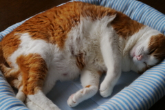 この角度から「私」を撮らないで！