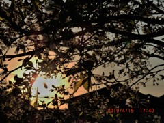 春の夕暮れ