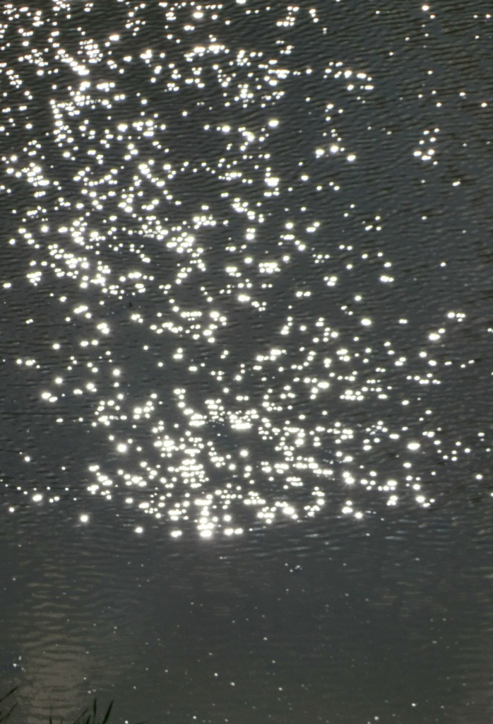 私の好きな里山　キラキラ