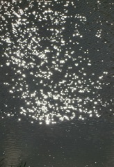 私の好きな里山　キラキラ