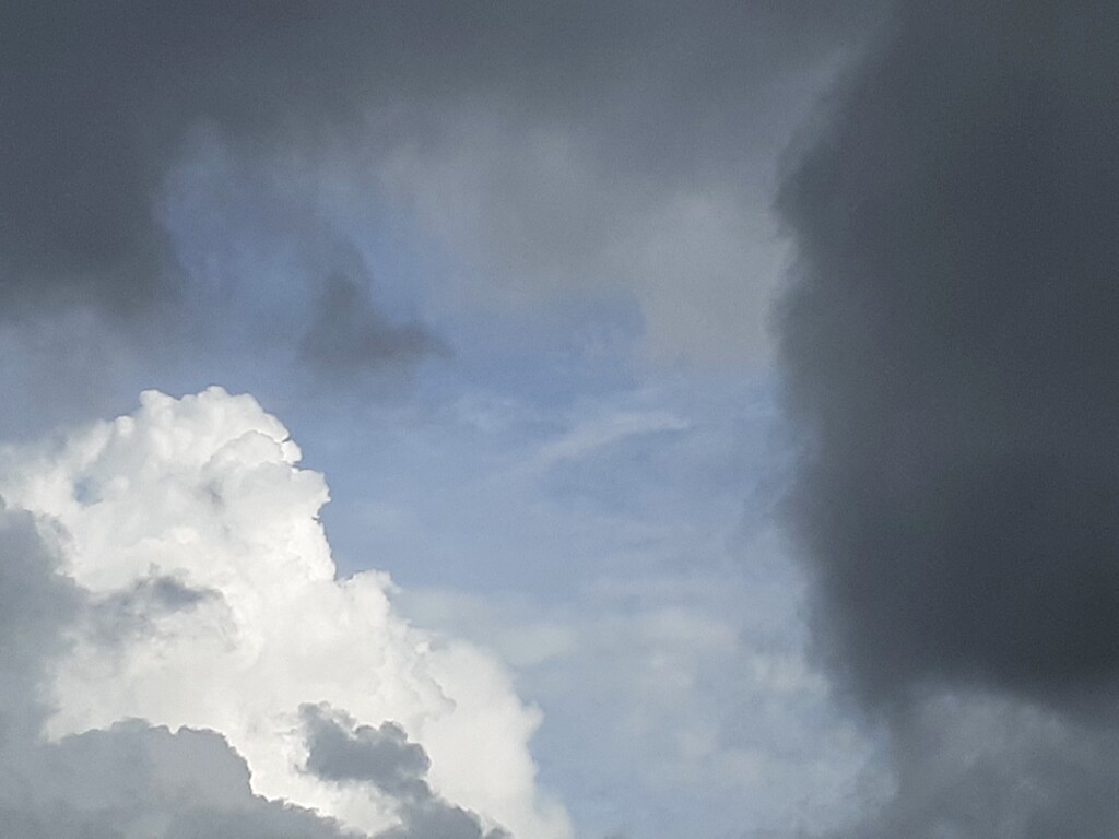 雲百態㊴…黒雲