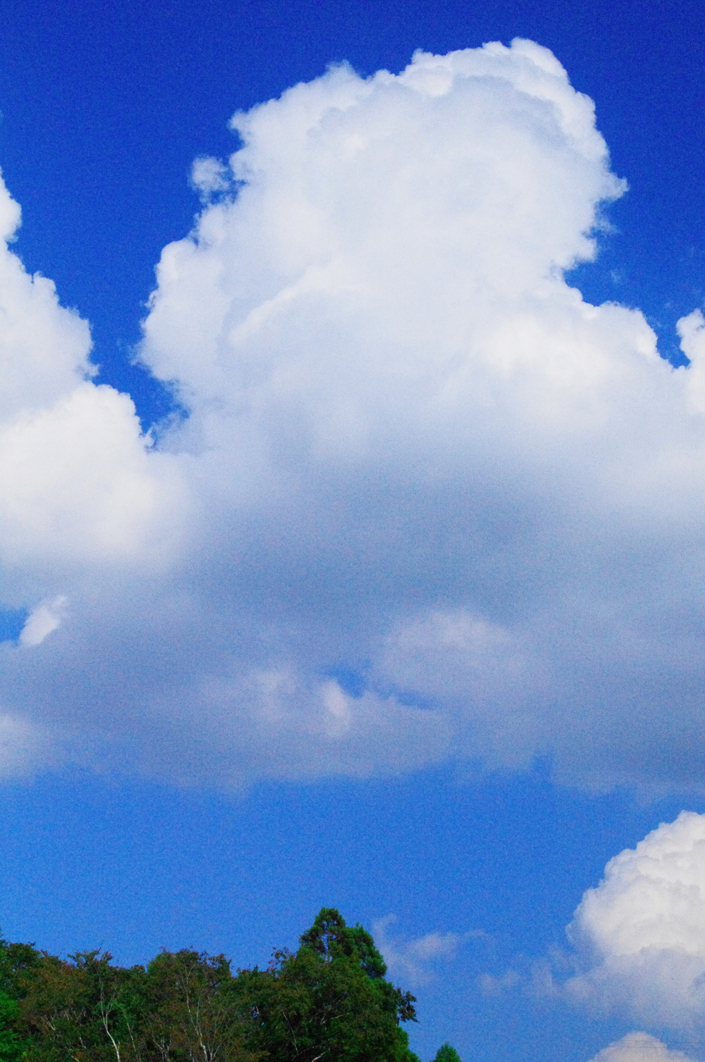雲百態㊼…秋晴れ…空高く