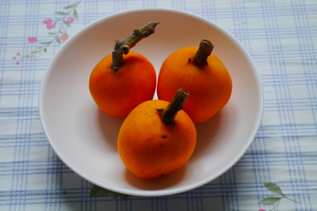 季節の頂き物(枇杷)