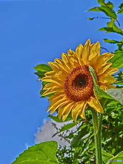 やっと来た夏！