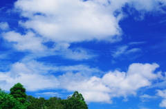 雲百態…定点観測