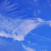 雲百態54…秋めいて