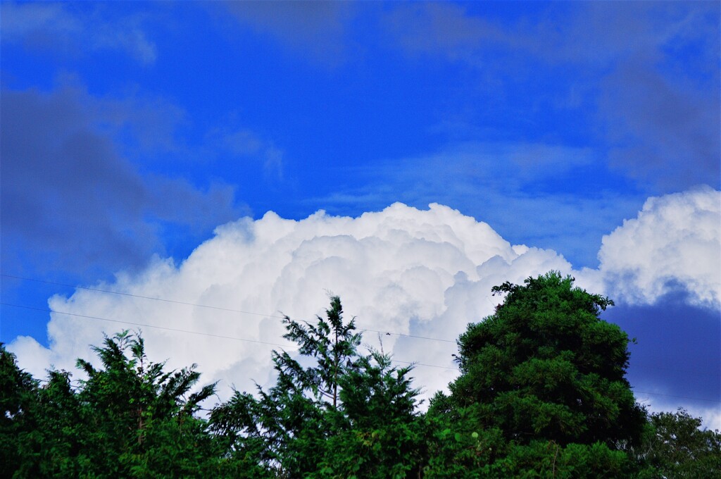 夏雲の名残