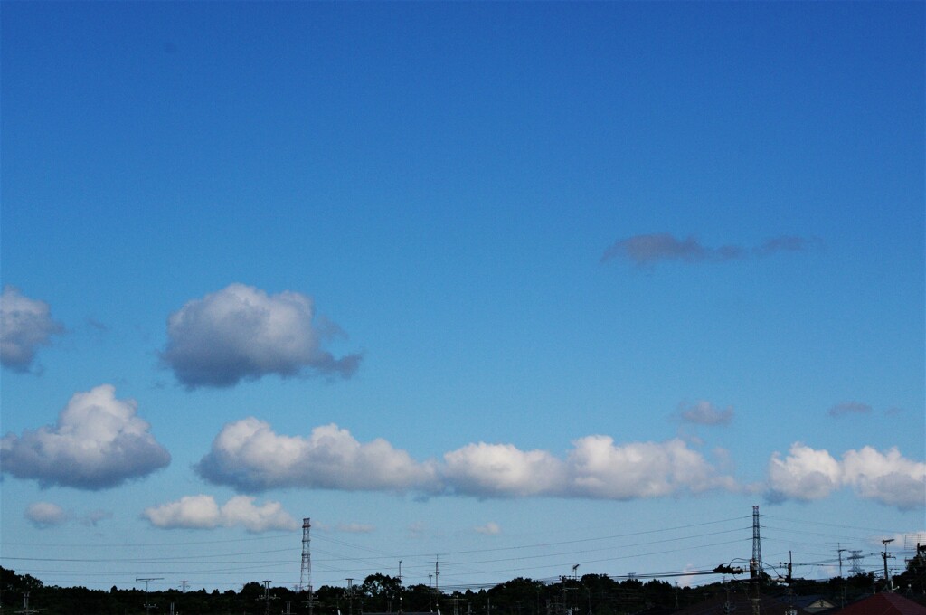 今日の空シリーズ2「線状造雲帯」？