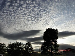 夏を通り越して秋の空？