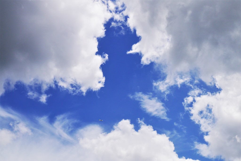 青空フライト(大雨の後で)