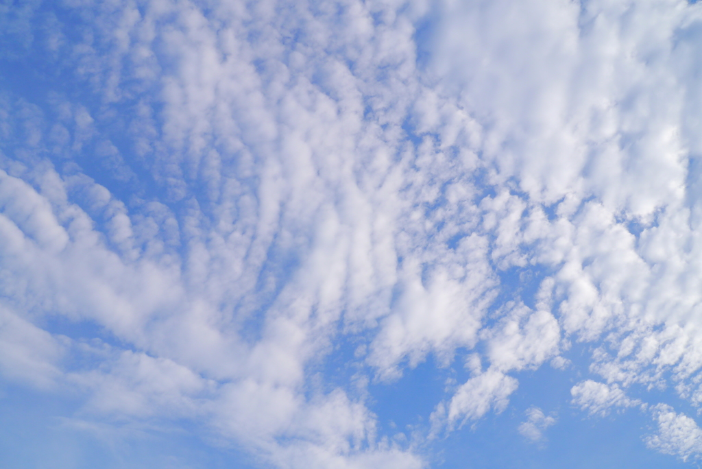 鱗雲…明日も暑くなるのかな？