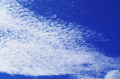 雲百態…秋の雲も…