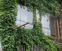 街角　寂れた喫茶店