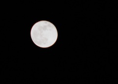 満月を過ぎても…(16夜)