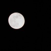 満月を過ぎても…(16夜)