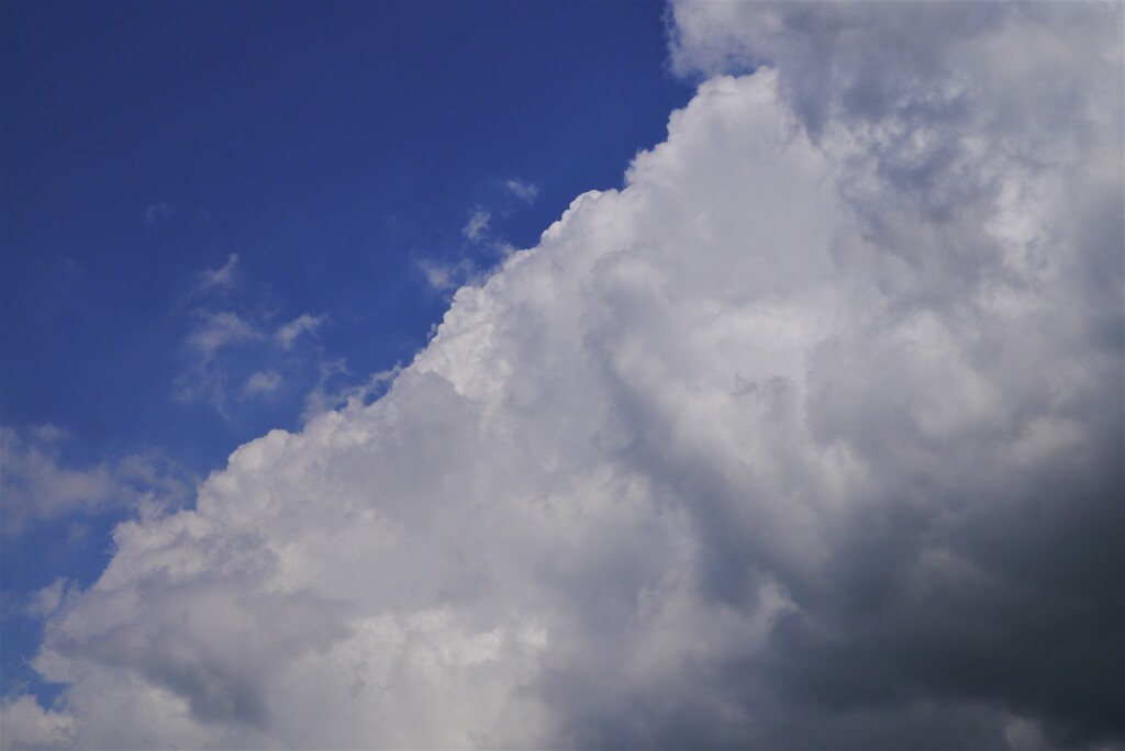 梅雨入り前に…夏が来た！